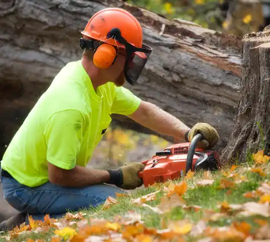 tree services Hurstbourne